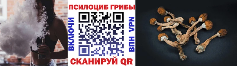 Псилоцибиновые грибы MAGIC MUSHROOMS  Петухово 