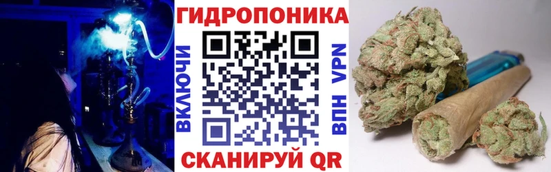Конопля Bruce Banner  как найти   Петухово 